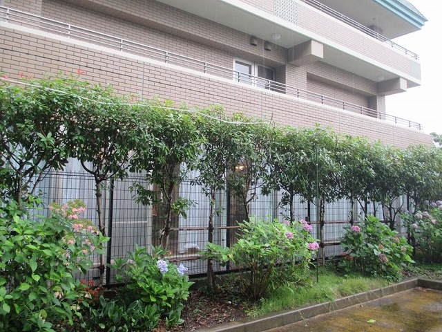 投稿写真3