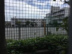 市場小学校