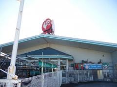 コメリハード＆グリーン　中田店
