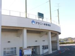 プリニーの野球場（各務原市民球場）