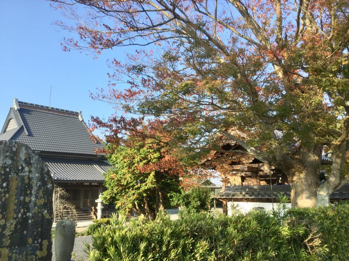 誓安寺