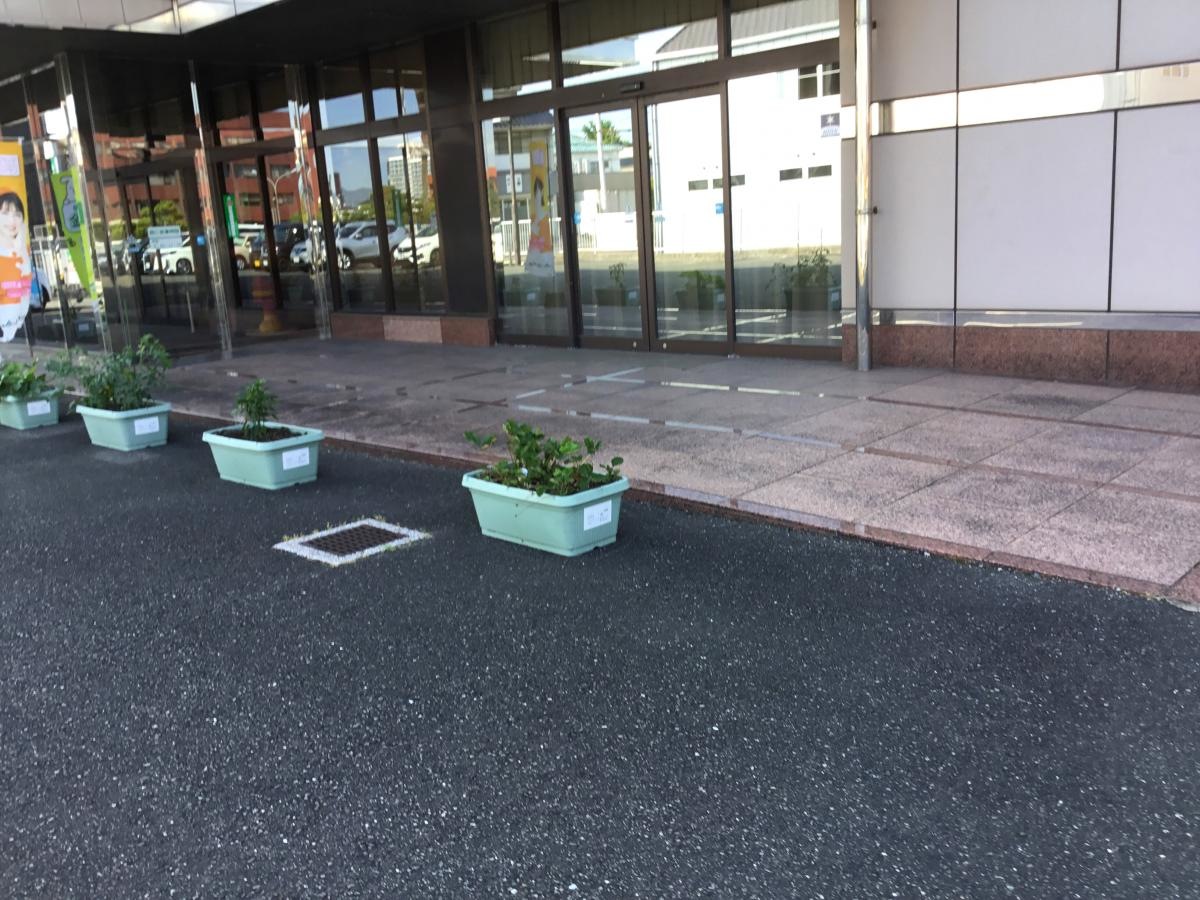 JA福岡京築行橋中央支店