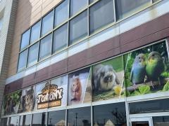 トモニー　つくば店