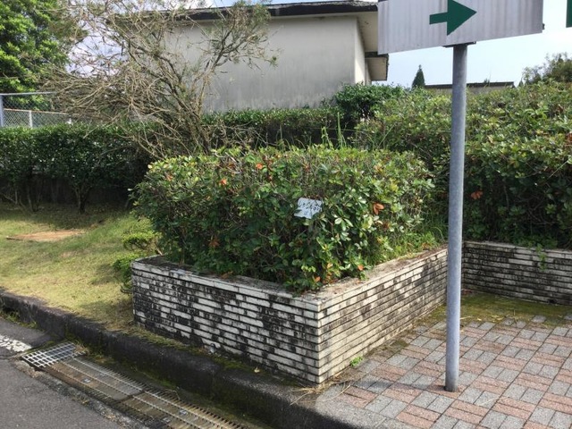施設写真49