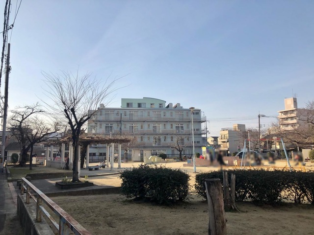 桑の実 雰囲気