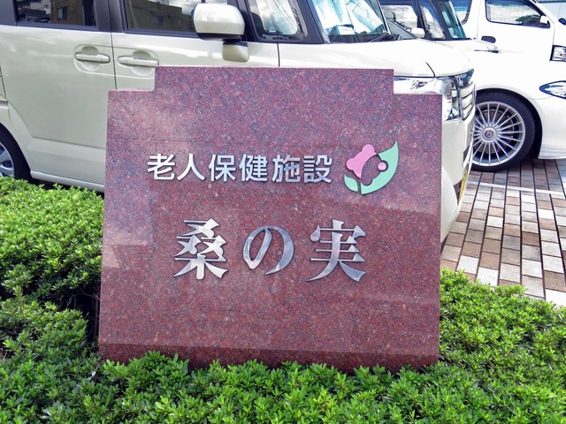 桑の実