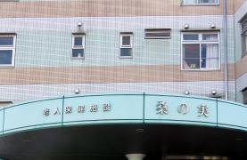 桑の実