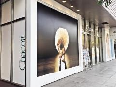 チャコット　熊本店