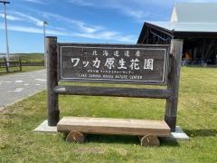 サロマ湖ワッカ原生花園