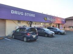 ウェルパーク八王子下恩方店