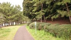 大井ふ頭中央海浜公園