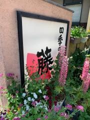 藤