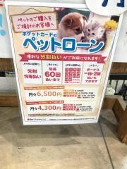 ペットプラザ東大阪稲田店