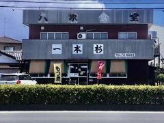 一本杉