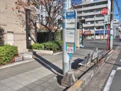 「綱島ＳＳＴ前」バス停留所
