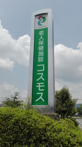 コスモス