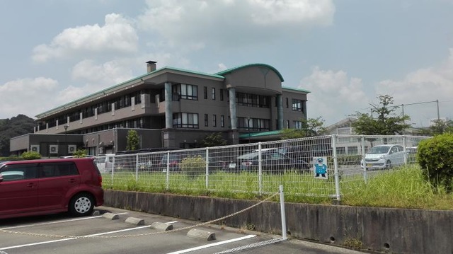コスモス