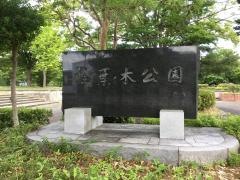 桧葉の木公園
