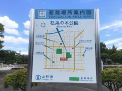 桧葉の木公園