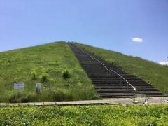 竜ケ岡公園