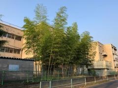 南越谷小学校
