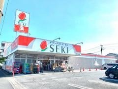 ドラッグストアセキ八潮中央店