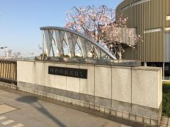 夢の大橋