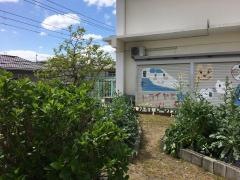 高丘西幼稚園
