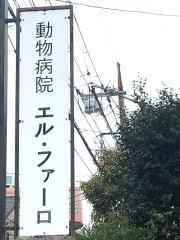 動物病院　エル・ファーロ
