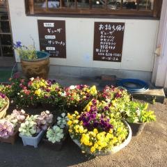 八芳苑