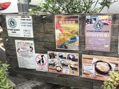 スタンドバニーカフェ