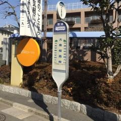 「大泉桜高校」バス停留所