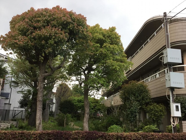 練馬区立関町特別養護老人ホーム 雰囲気