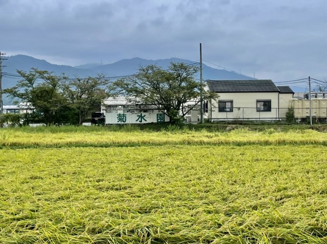菊水園