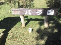 バラ園