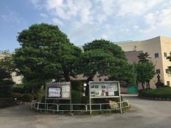 寄居小学校