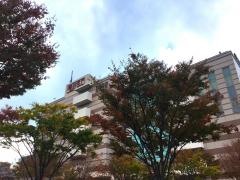 港北ＴＯＫＹＵ　Ｓ．Ｃ．