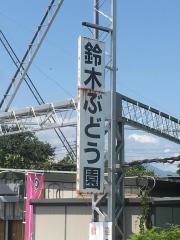 丸セ鈴木ぶどう園