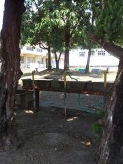 井戸幼稚園