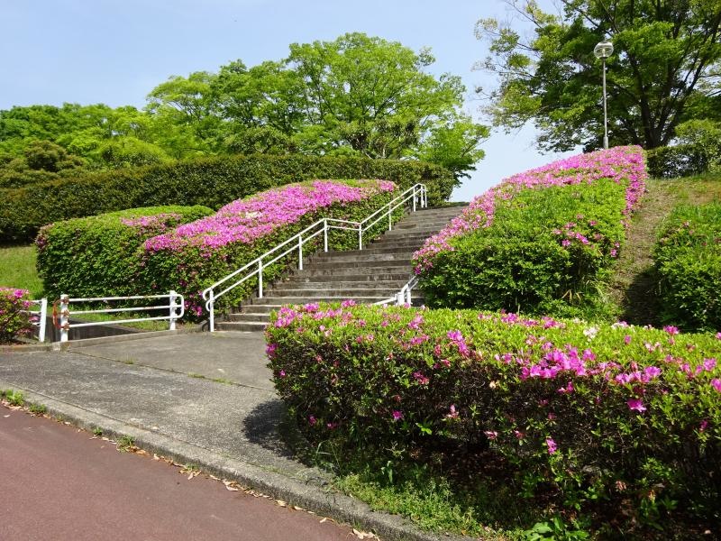 城山台中央公園