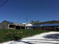 四国カルスト大野ヶ原育成牧場