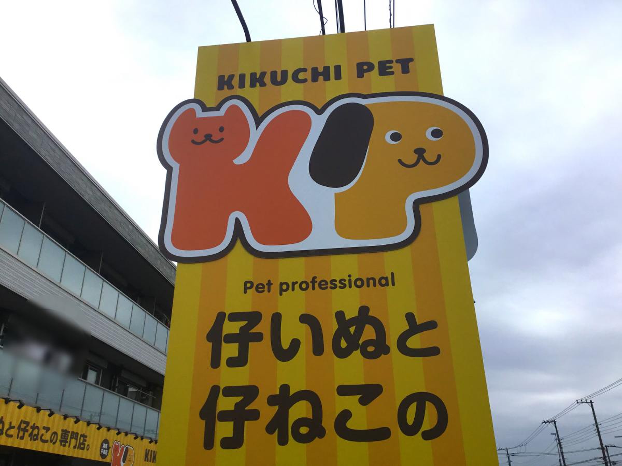 きくち ペット 湘南 平塚 店