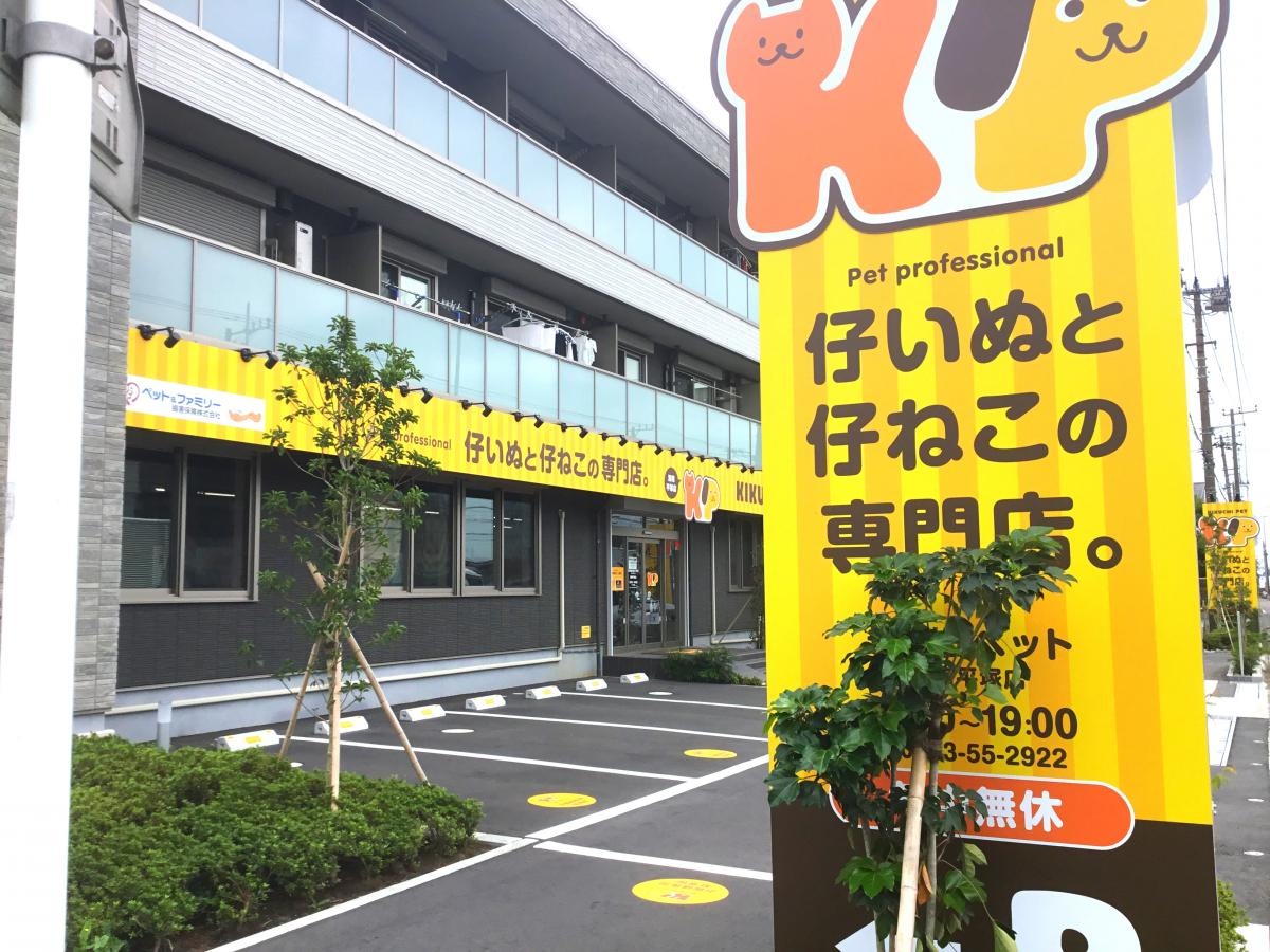 きくちペット湘南平塚店