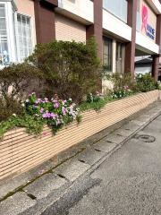 広瀬産婦人科医院