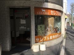 セレブル動物病院