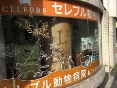 セレブル動物病院
