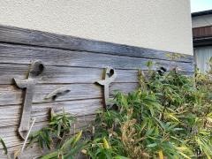 たちばな