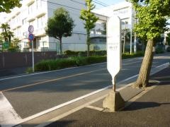 「小学校前(横浜市泉区)」バス停留所