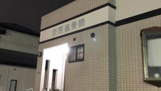 安東整骨院