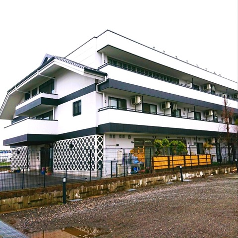 露庵